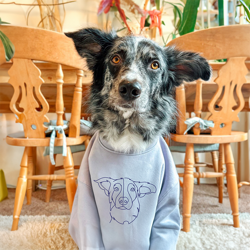Geschenke für Haustierliebhaber, individuell besticktes Sweatshirt und Kapuzenpullover