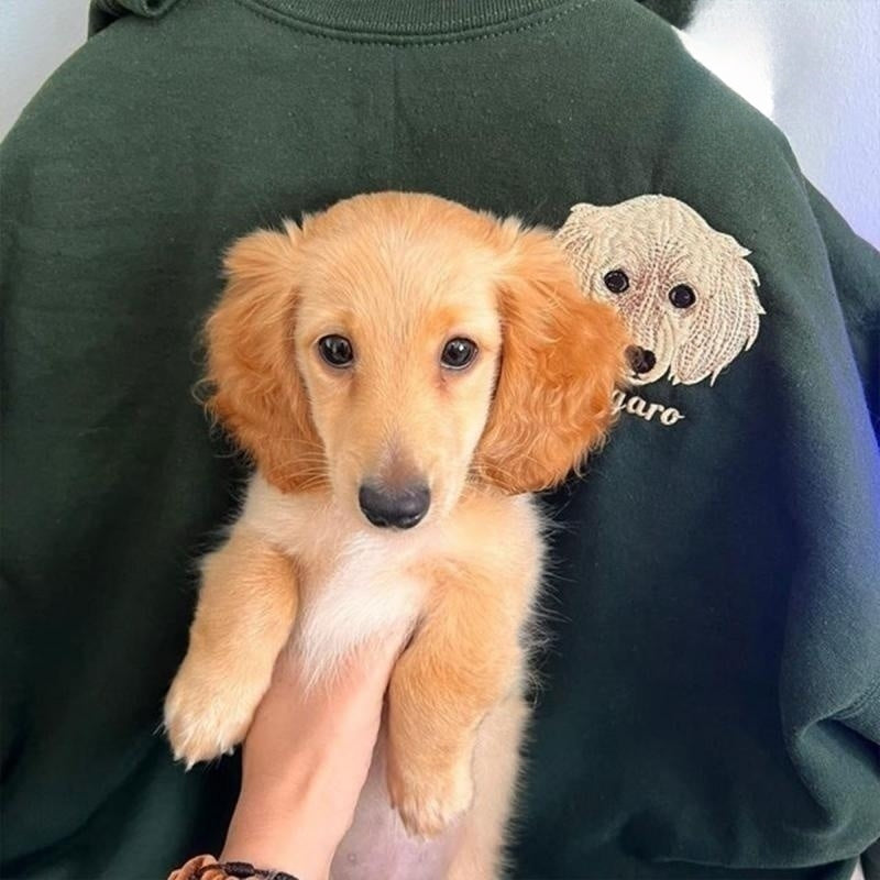 Personalisiertes Sweatshirt mit Haustiergesicht und Haustiernamen Individuell besticktes