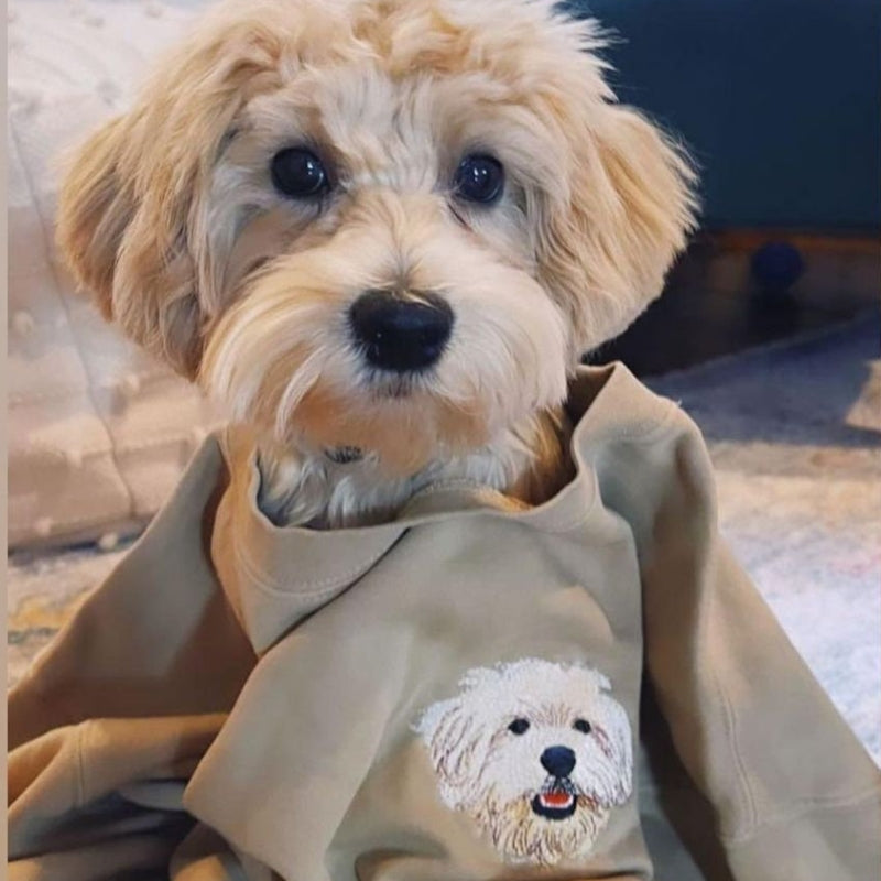 Personalisiertes Sweatshirt mit Haustiergesicht und Haustiernamen Individuell besticktes